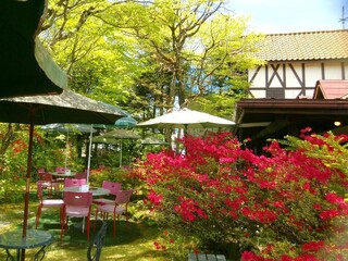 Tannen Tei - Terrace Seating