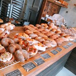 ステイゴールド - 