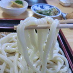 うどん屋 はせ川 - うどんUP_2012-05-12