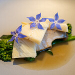 レストラン オオツ - 2020.5 合馬産筍と酒田産黒鮑 鮑の煮汁に葛を加えたソース