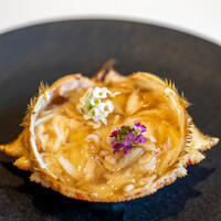 レストラン オオツ - 2020.5 青森トゲクリガニ 内子外子蟹のゼリー寄せ