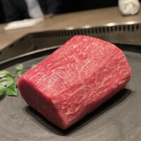 USHIGORO S. NISHIAZABU - 