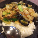 Chinese Dining RYANPAO - 五目あんかけご飯