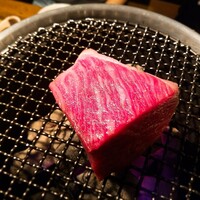 大衆肉酒場 こだわり米 匠 - 