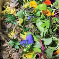 蕃 YORONIKU - 花びらの下には和牛焼肉
