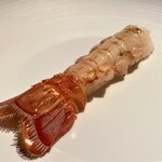 蒼 - 四皿目：相模湾長井の赤座海老 ビスクと共に　赤座海老はさっと塩焼きにした半生です♪