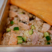 鮨 なんば 日比谷 - 試作のちらし