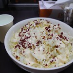 牛すじカレー 小さなカレー家 - コールスローW（100円）