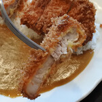 Tonkatsu Hinoya - ロースかつカレー1200円