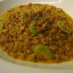 トラットリア 29 - 「イタリア産　スペルト小麦のリゾット　そら豆のクリームソース」：濃厚さと素朴さ。その見事なコントラスト！