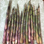 旬ものと日本酒 とみ笑 - 姫竹