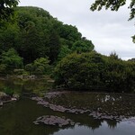 手打ちそば　極楽乃 - 