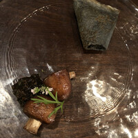 セルサルサーレ - 