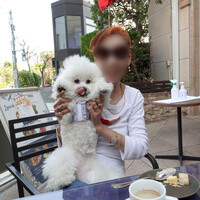 BISTRO FAVORI 代官山 - ランチ後の楽しい・・