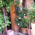 トラットリア ヴィバ ラ ヴィータ - 