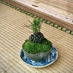 飯田 - お店の前の飾り