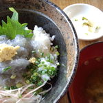 海月 - 生しらす丼（1200円）