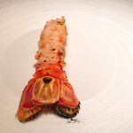 蒼 - アカザエビ