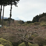 つつじの茶屋 - 