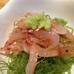 下総屋 - お通し（駿河湾の生桜海老）