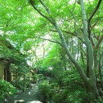 山ばな平八茶屋 - 