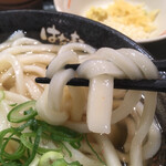 Hanamaru Udon - モチモチ食感