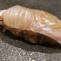 はっこく - ヒラメ