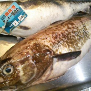 NIGORIZAKE BAR 濁酒本舗 tejimaul_0