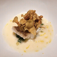 レフェルヴェソンス - 