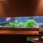 フォー・リーフ - 