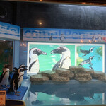 ペンギンのいるダイニングバー沖縄 - 