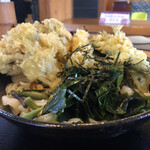 田舎打ち 麺蔵 - ワカメに山菜も乗ってボリューム抜群