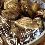 日の出 - 見てください！美しいハマグリ・・・