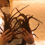 銀座 しのはら - これから料理する伊勢海老