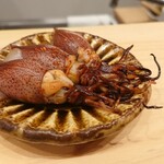 らんまる - 焼き蛍烏賊