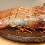 らんまる - ボタン海老