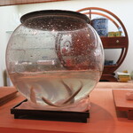 青華こばやし - 稚鮎