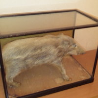 ももんじや - 