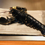 オマールブルー　600g