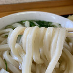 手打ちうどんますや - 迫力のある太麺