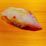 鮨 あらい - イサキ