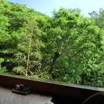 竹やぶ - テラス席からの眺め