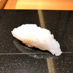 いちかわ - アオリイカ