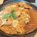 Mizutaki Motsunabe Toriryourihakata Hanamidori - カレー。ルーが掛かっていないところは親子丼になっています。