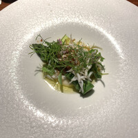 TACUBO - 