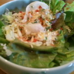 ハルコロ - １周年記念ランチの「水菜とレタス」のサラダ