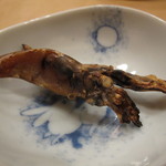 すし屋 真魚 - 蛍烏賊のあたりめ