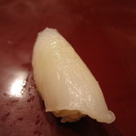 すし屋 真魚 - アオリ烏賊