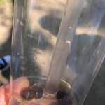 パクパク - ドリンク写真:芯が残ったタピオカでした