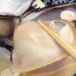 日の出 - 何度見ても、大きい～